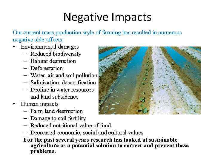 Negative Impacts Our current mass production style of farming has resulted in numerous negative