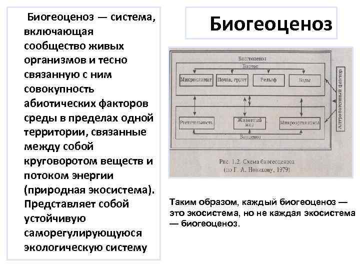  Биогеоценоз — система, включающая сообщество живых организмов и тесно связанную с ним совокупность