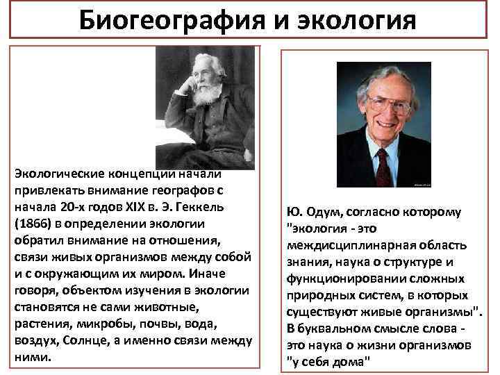 Биогеография и экология Экологические концепции начали привлекать внимание географов с начала 20 -х годов