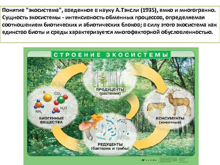 Понятие "экосистема", введенное в науку А. Тэнсли (1935), емко и многогранно. Сущность экосистемы -