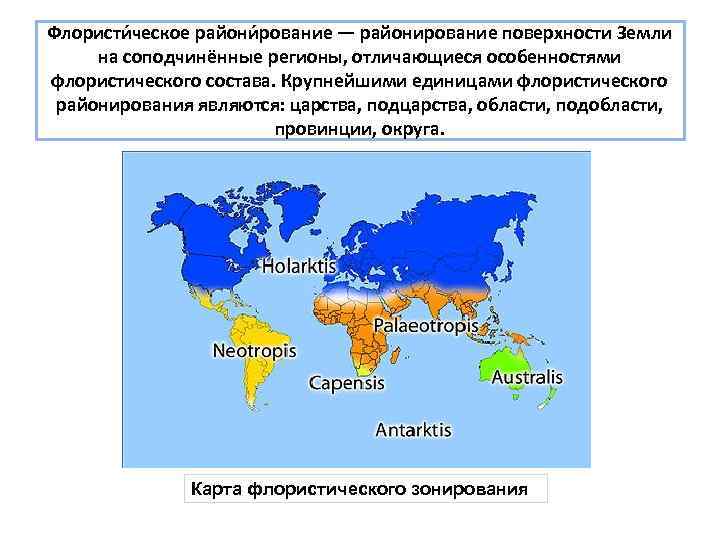 Флористи ческое райони рование — районирование поверхности Земли на соподчинённые регионы, отличающиеся особенностями флористического