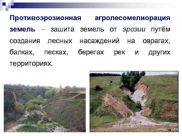Противоэрозионная агролесомелиорация земель зашита земель от эрозии путём создания лесных насаждений на оврагах, балках,