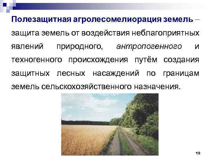 Полезащитная агролесомелиорация земель защита земель от воздействия неблагоприятных явлений природного, антропогенного и техногенного происхождения