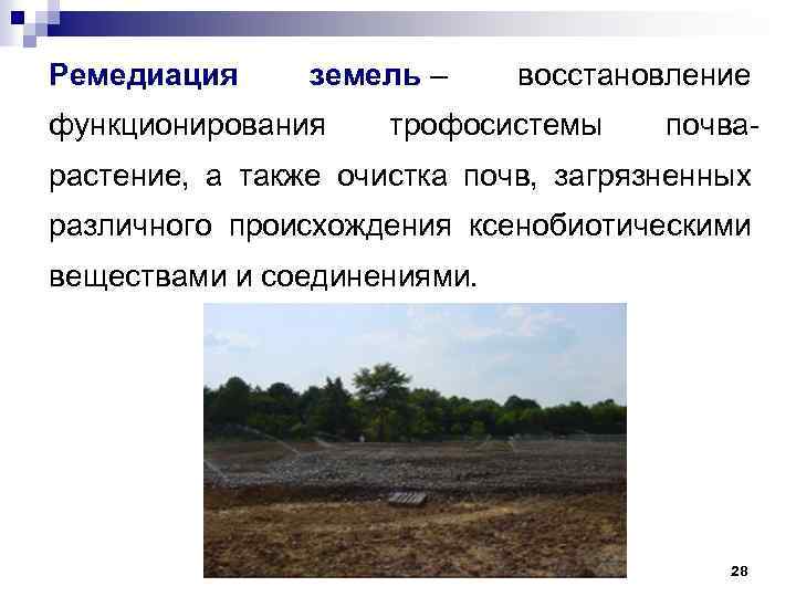 Ремедиация земель – функционирования восстановление трофосистемы почва- растение, а также очистка почв, загрязненных различного