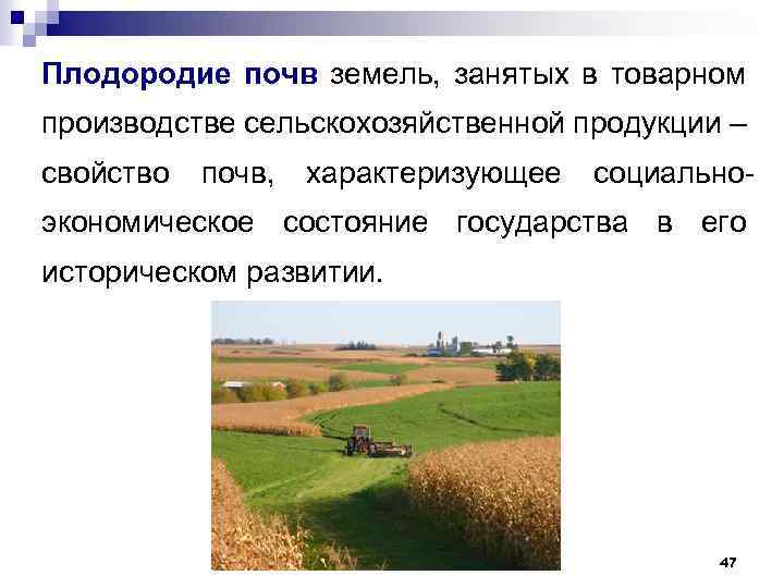 Плодородие почв земель, занятых в товарном производстве сельскохозяйственной продукции – свойство почв, характеризующее социальноэкономическое