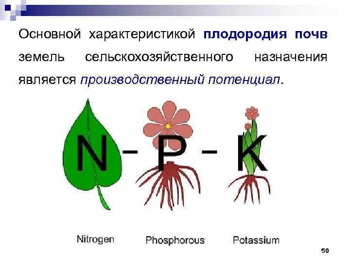 Основной характеристикой плодородия почв земель сельскохозяйственного назначения является производственный потенциал. 50 