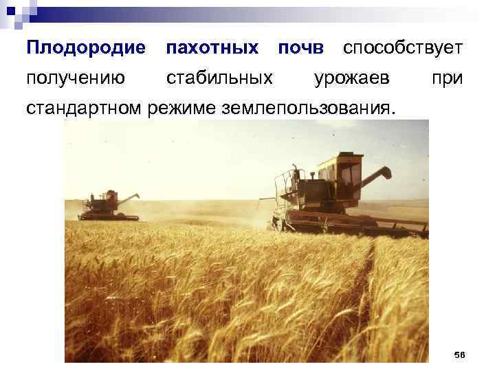 Плодородие пахотных почв способствует получению стабильных урожаев при стандартном режиме землепользования. 56 
