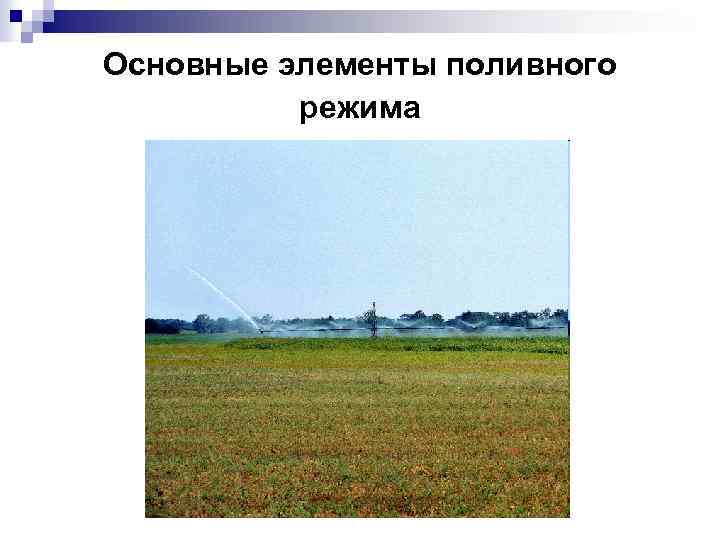 Основные элементы поливного режима 