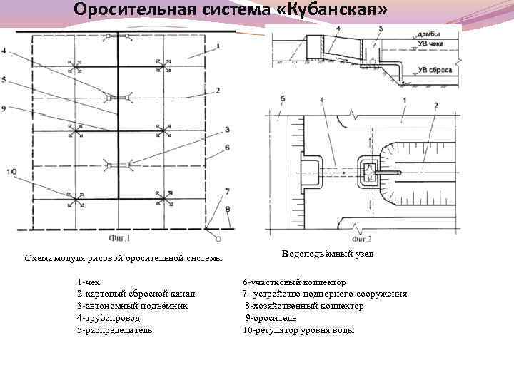 Оросительная система «Кубанская» Схема модуля рисовой оросительной системы 1 -чек 2 -картовый сбросной канал