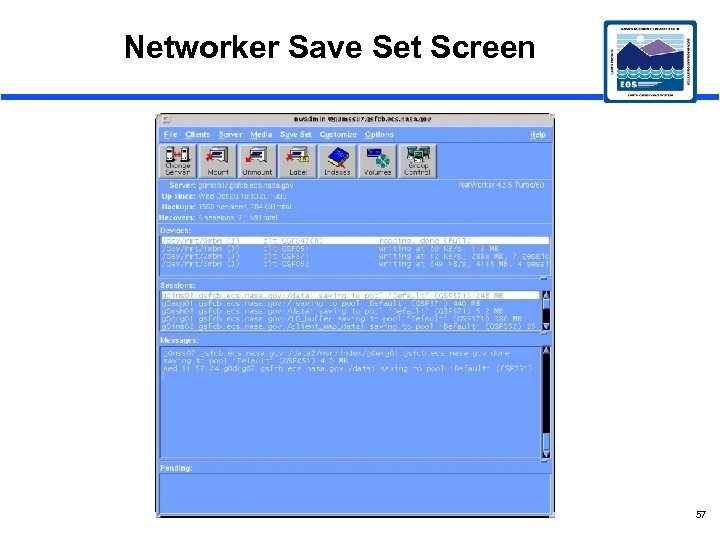Networker Save Set Screen 57 