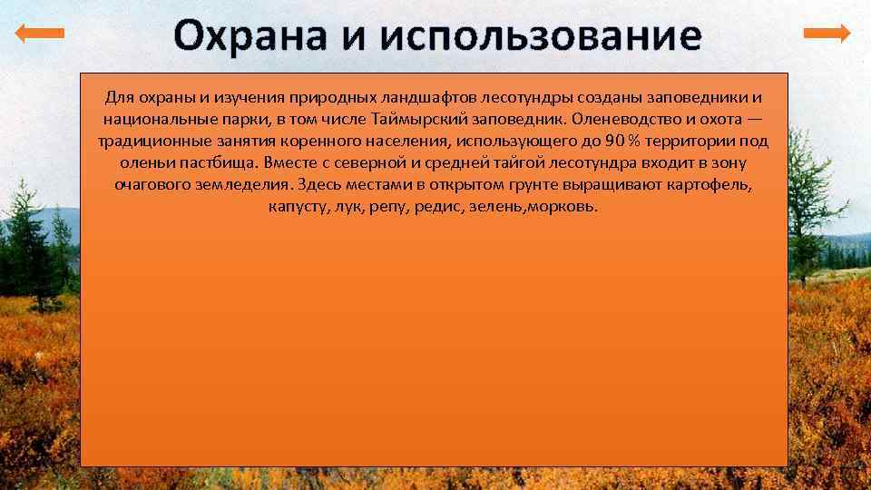 Охрана и использование Для охраны и изучения природных ландшафтов лесотундры созданы заповедники и национальные