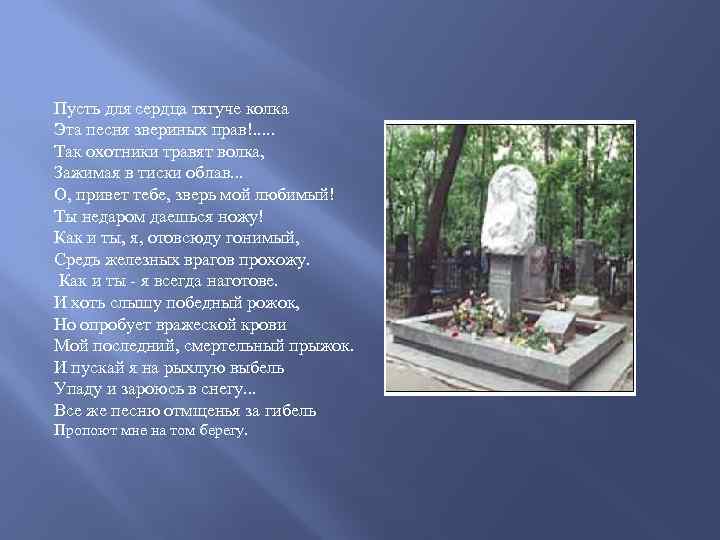 Пусть для сердца тягуче колка Эта песня звериных прав!. . . Так охотники травят