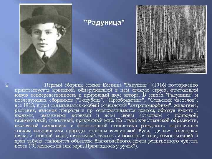 "Радуница" Первый сборник стихов Есенина "Радуница" (1916) восторженно приветствуется критикой, обнаружившей в нем свежую