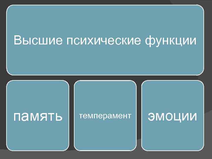 Высшие психические функции память темперамент эмоции 