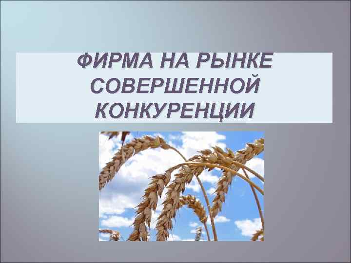 ФИРМА НА РЫНКЕ СОВЕРШЕННОЙ КОНКУРЕНЦИИ 