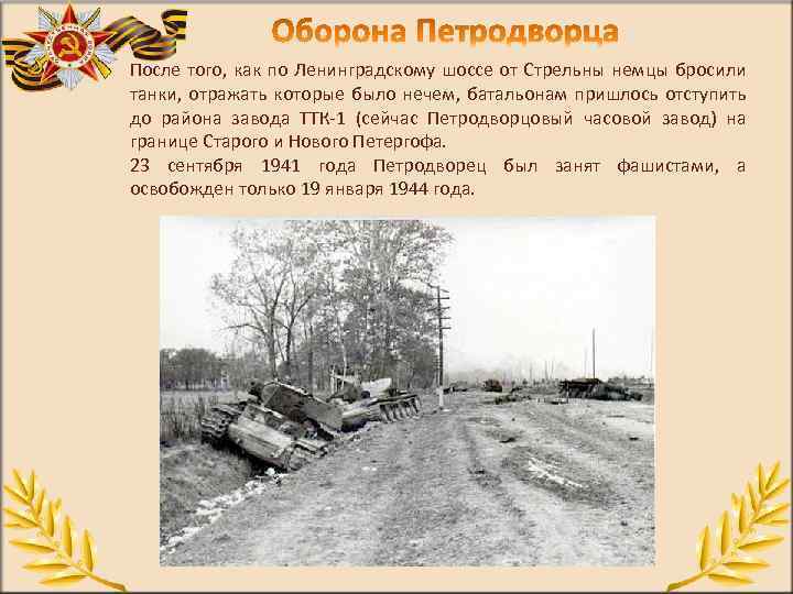 После того, как по Ленинградскому шоссе от Стрельны немцы бросили танки, отражать которые было