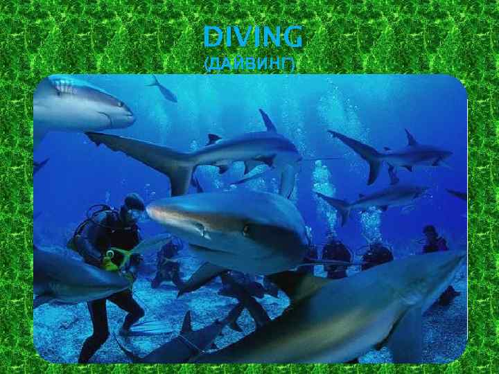 DIVING (ДАЙВИНГ) 