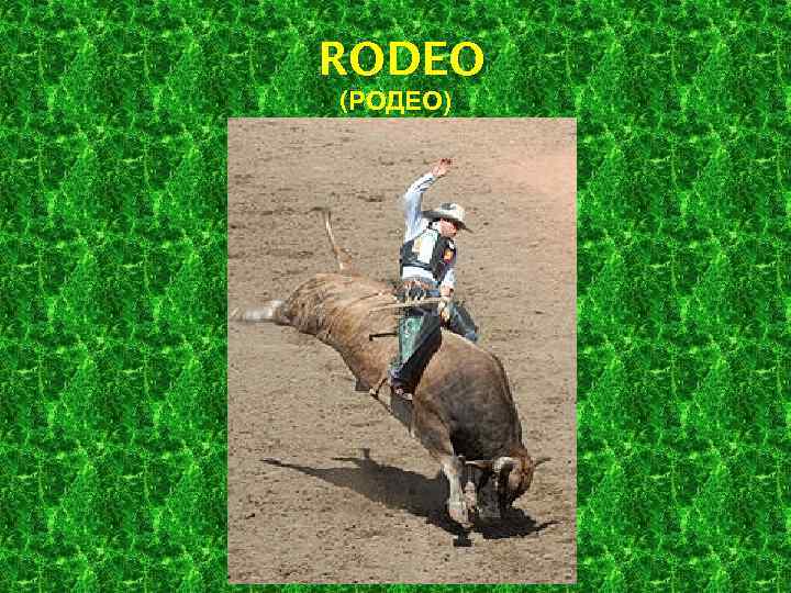 RODEO (РОДЕО) 