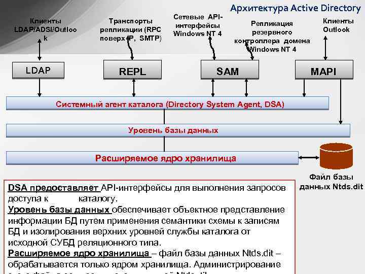 Клиенты LDAP/ADSI/Outloo k LDAP Транспорты репликации (RPC поверх IP, SMTP) REPL Сетевые APIинтерфейсы Windows