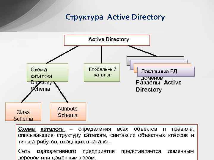 Каталог доменов. Структура ad Active Directory. Структурная схема Active Directory.