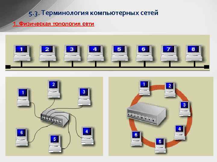 5. 3. Терминология компьютерных сетей 1. Физическая топология сети 