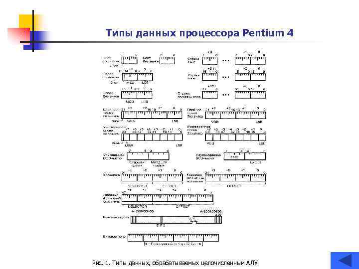 Типы данных процессора Pentium 4 Рис. 1. Типы данных, обрабатываемых целочисленным АЛУ 