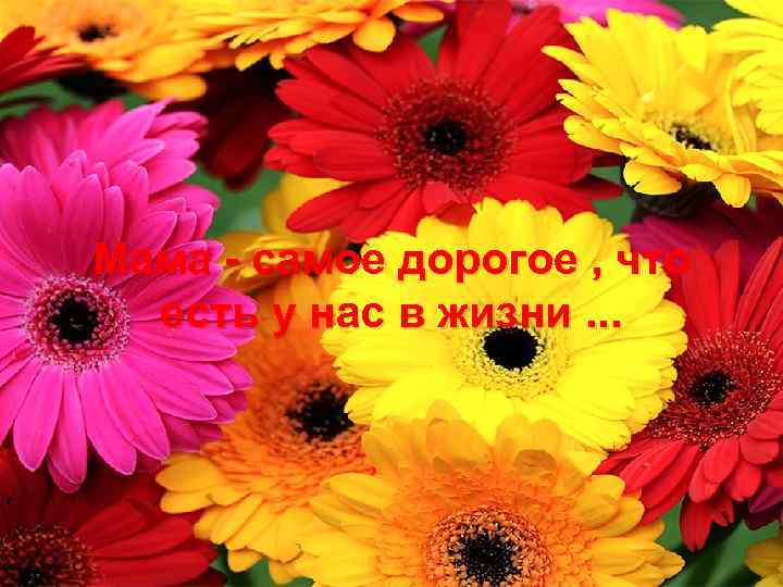 Мама - самое дорогое , что есть у нас в жизни. . . 