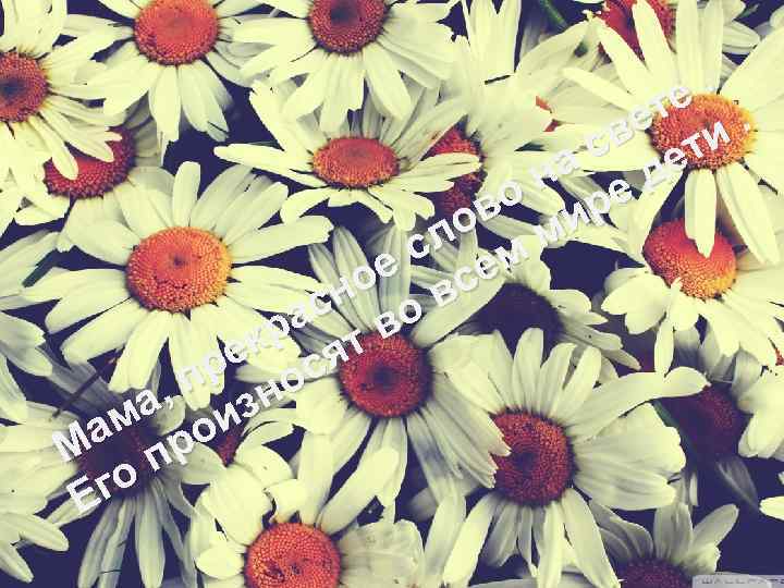 . те. ве ти с е на е д во ир ло м м