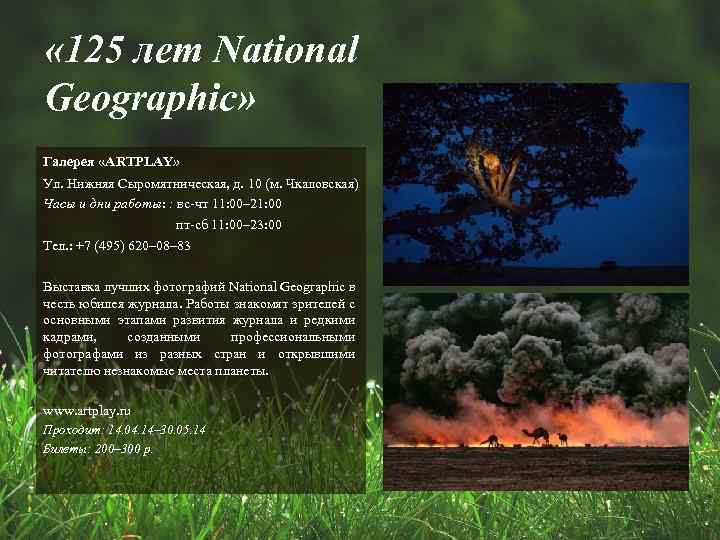  « 125 лет National Geographic» Галерея «ARTPLAY» Ул. Нижняя Сыромятническая, д. 10 (м.