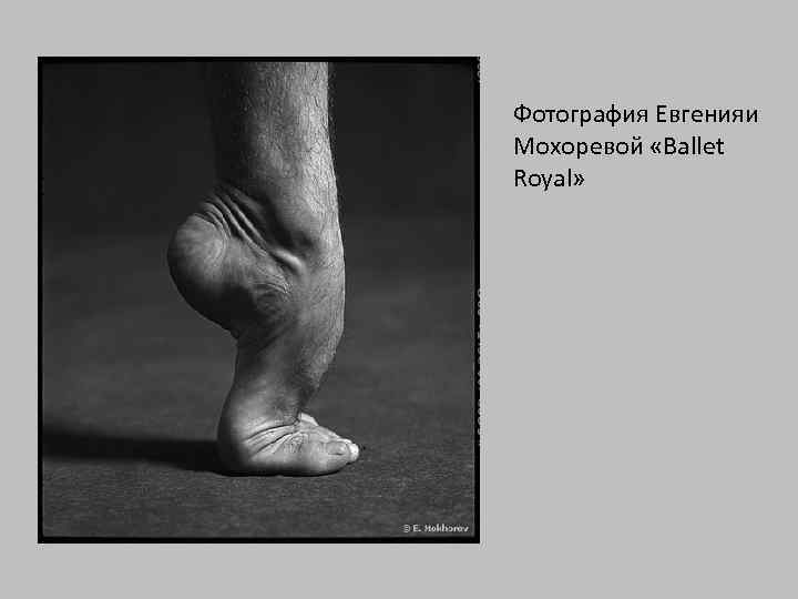 Фотография Евгенияи Мохоревой «Ballet Royal» 