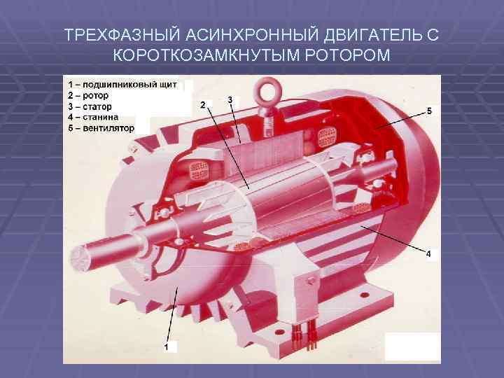 ТРЕХФАЗНЫЙ АСИНХРОННЫЙ ДВИГАТЕЛЬ С КОРОТКОЗАМКНУТЫМ РОТОРОМ 