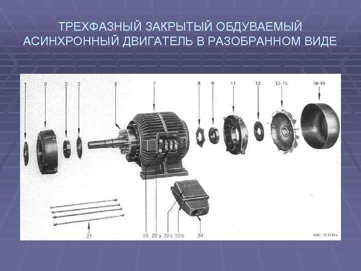 ТРЕХФАЗНЫЙ ЗАКРЫТЫЙ ОБДУВАЕМЫЙ АСИНХРОННЫЙ ДВИГАТЕЛЬ В РАЗОБРАННОМ ВИДЕ 