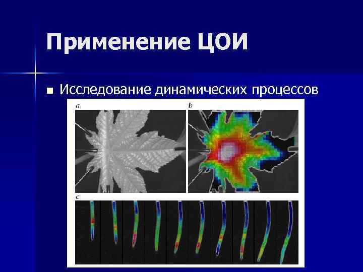 Применение ЦОИ n Исследование динамических процессов 