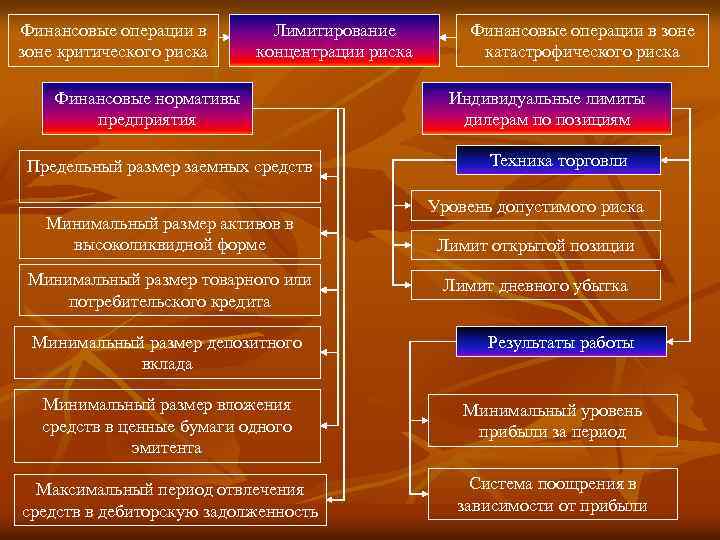 Финансовые операции в зоне критического риска Лимитирование концентрации риска Финансовые нормативы предприятия Предельный размер