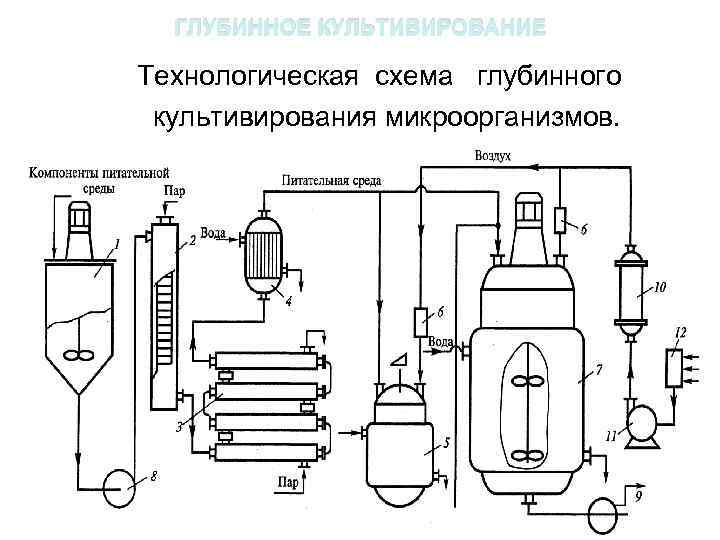 ГЛУБИННОЕ КУЛЬТИВИРОВАНИЕ Технологическая схема глубинного культивирования микроорганизмов. . 