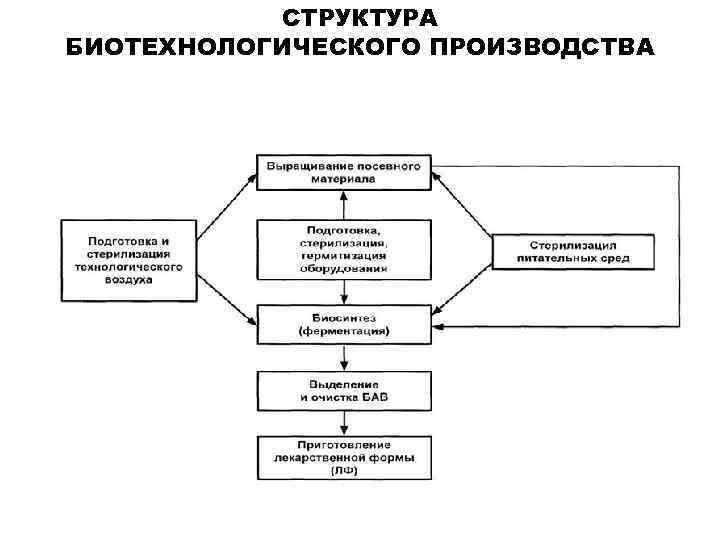 СТРУКТУРА БИОТЕХНОЛОГИЧЕСКОГО ПРОИЗВОДСТВА 