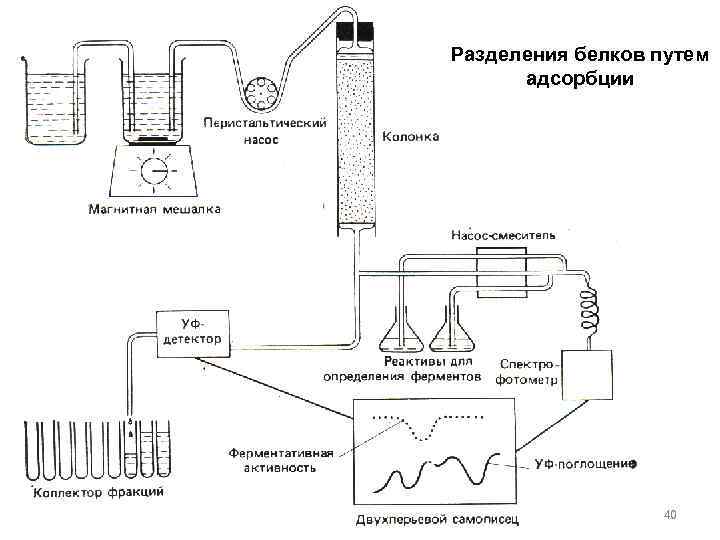 Разделения белков путем адсорбции 40 