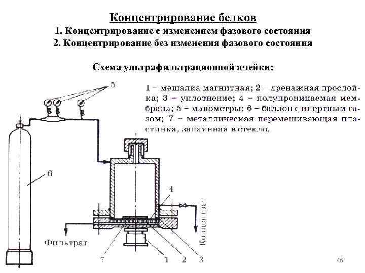 Концентрирование белков 1. Концентрирование с изменением фазового состояния 2. Концентрирование без изменения фазового состояния