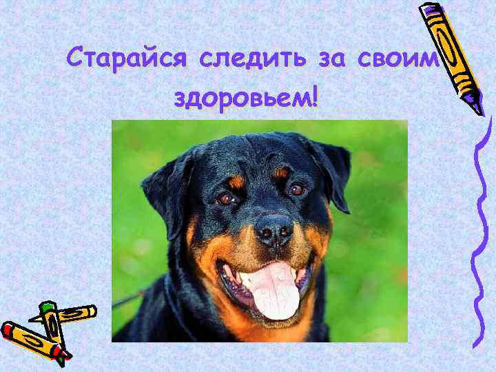 Старайся следить за своим здоровьем! 