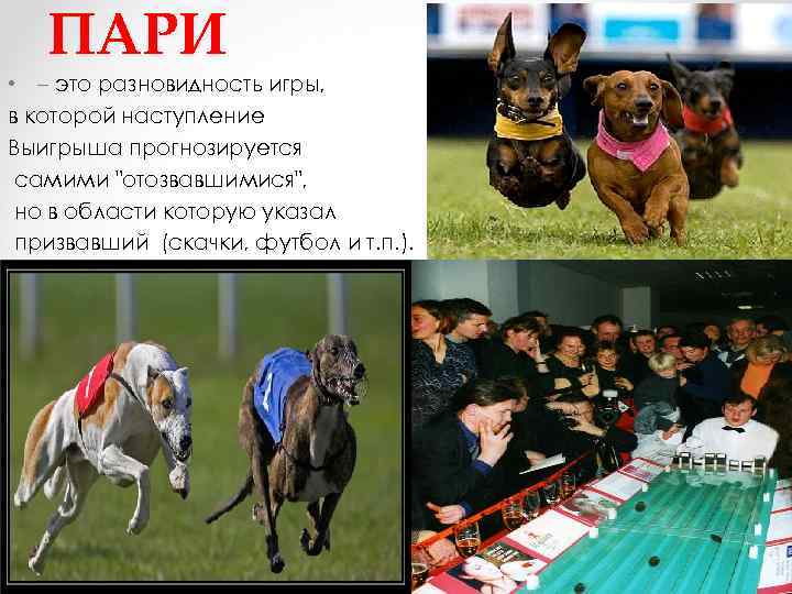 ПАРИ • – это разновидность игры, в которой наступление Выигрыша прогнозируется самими "отозвавшимися", но