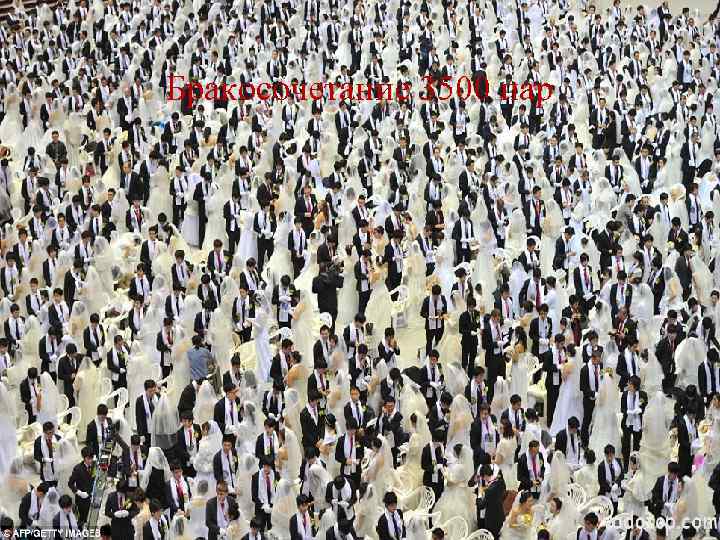 Бракосочетание 3500 пар 
