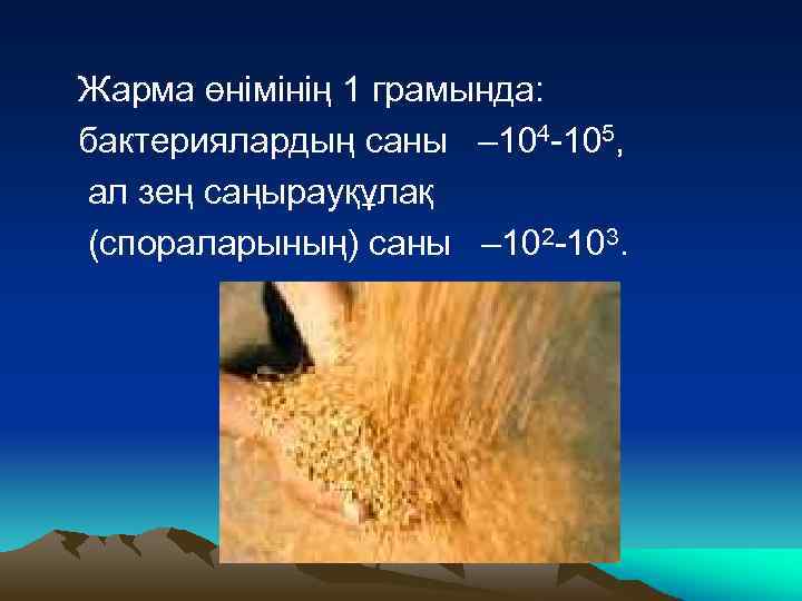 Жарма өнімінің 1 грамында: бактериялардың саны – 104 -105, ал зең саңырауқұлақ (спораларының) саны