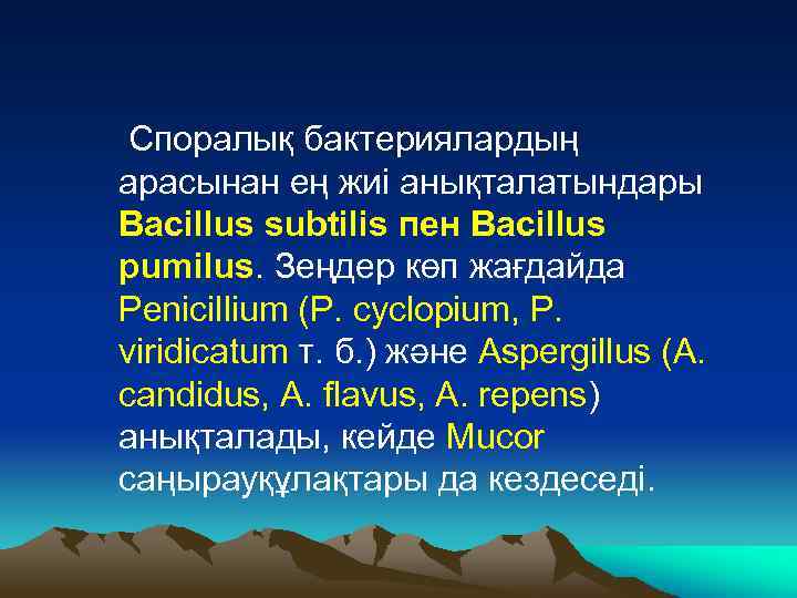  Споралық бактериялардың арасынан ең жиі анықталатындары Bacillus subtilis пен Bacillus pumilus. Зеңдер көп