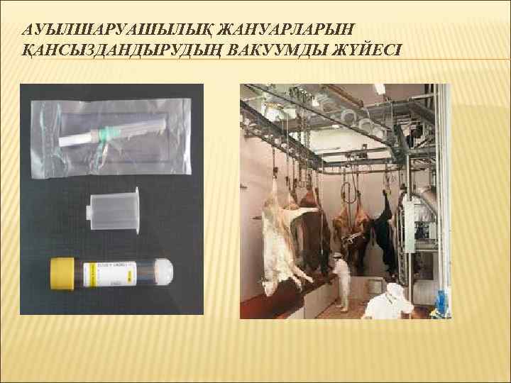 АУЫЛШАРУАШЫЛЫҚ ЖАНУАРЛАРЫН ҚАНСЫЗДАНДЫРУДЫҢ ВАКУУМДЫ ЖҮЙЕСІ 