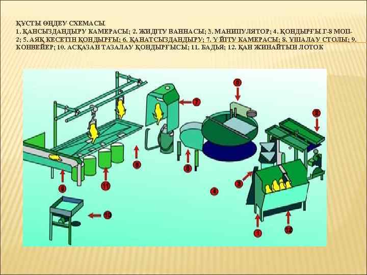ҚҰСТЫ ӨҢДЕУ СХЕМАСЫ 1. ҚАНСЫЗДАНДЫРУ КАМЕРАСЫ; 2. ЖИДІТУ ВАННАСЫ; 3. МАНИПУЛЯТОР; 4. ҚОНДЫРҒЫ Г-8