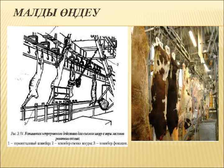 МАЛДЫ ӨҢДЕУ 