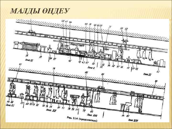 МАЛДЫ ӨҢДЕУ 