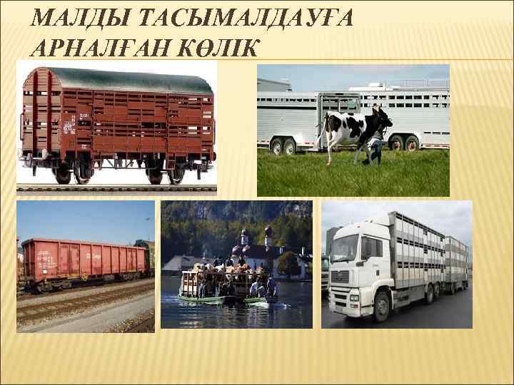 МАЛДЫ ТАСЫМАЛДАУҒА АРНАЛҒАН КӨЛІК 