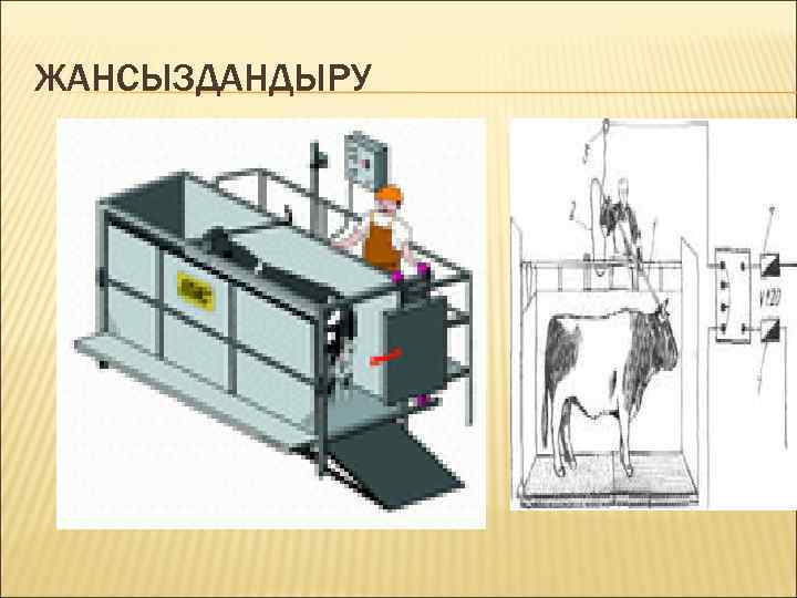 ЖАНСЫЗДАНДЫРУ 