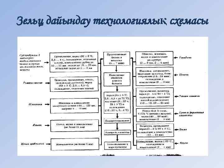 Зельц дайындау технологиялық схемасы 